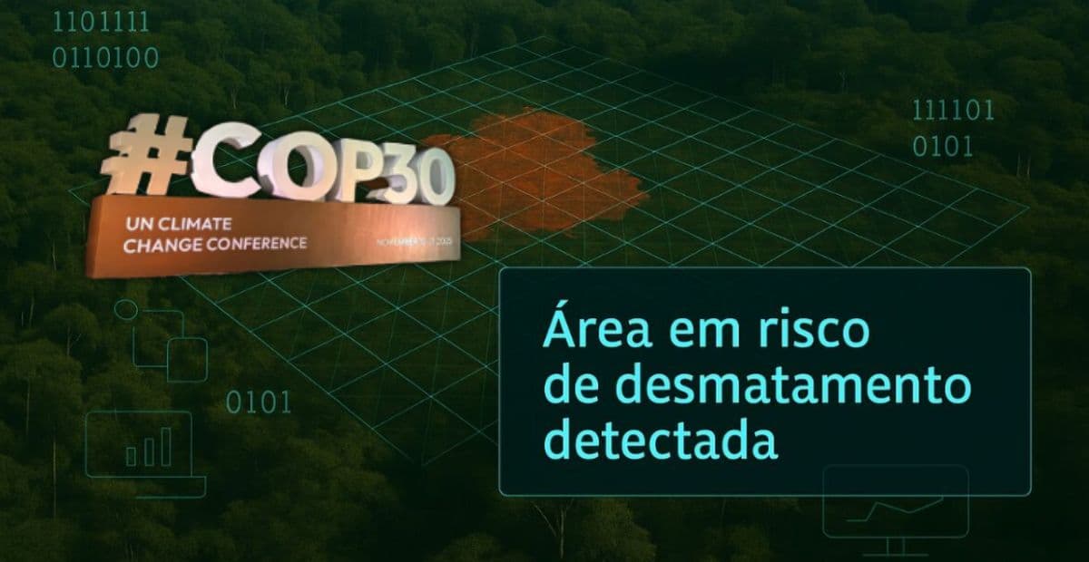 COP 30: Como IA pode ser aliada para zerar o desmatamento ilegal