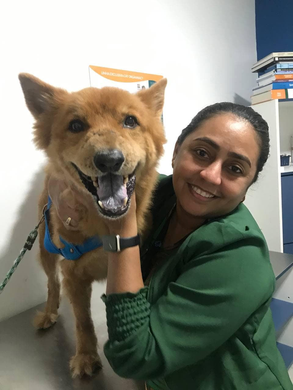 ‘Novembro Azul Pet’ incentiva exames preventivos em animais de estimação