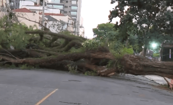 Grande SP tem mais de 1,5 milhão de imóveis sem energia após ventania