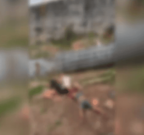 Pitbulls atacam e matam homem em terreno na zona leste de São Paulo