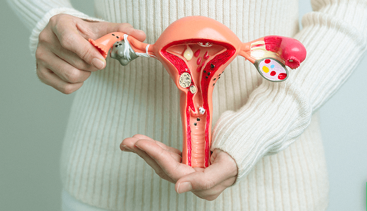 Deputado do Amazonas propõe Dia de Conscientização sobre a Menopausa