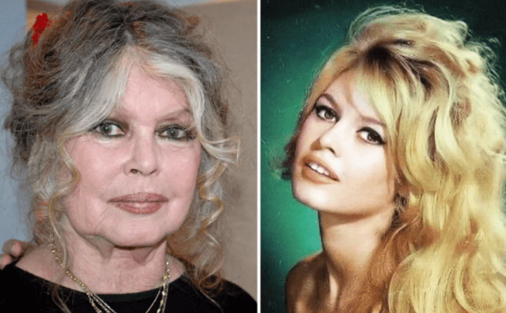 Morre Brigitte Bardot, aos 91 anos, ícone do cinema francês e ativista pelos direitos dos animais