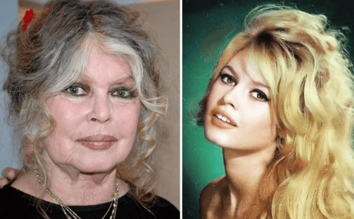 Morre Brigitte Bardot, aos 91 anos, ícone do cinema francês e ativista pelos direitos dos animais