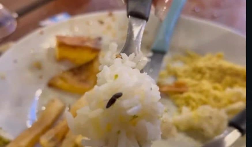 VÍDEO; Arroz com brocólis é servido com barata em restaurante de Manaus