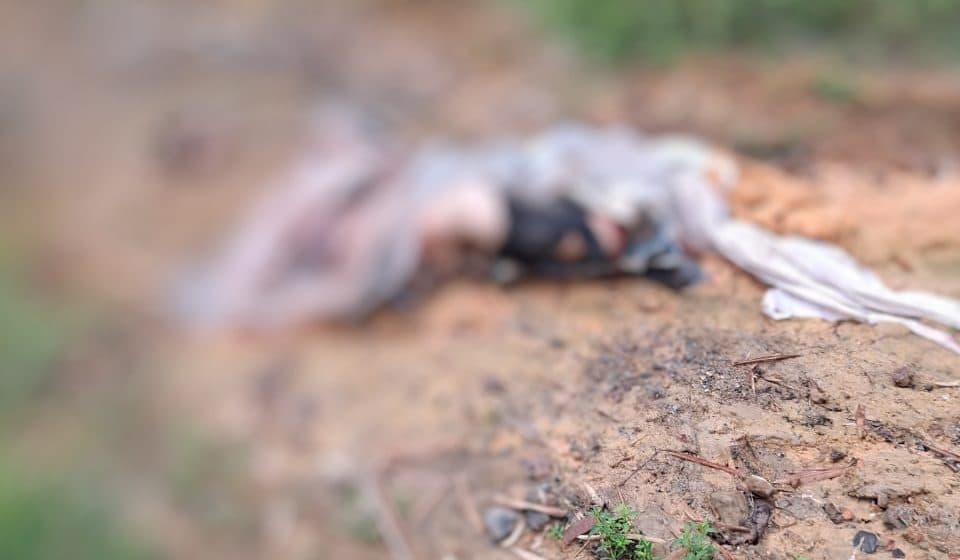 IMAGEM FORTE: Corpo decapitado é encontrado no Tarumã