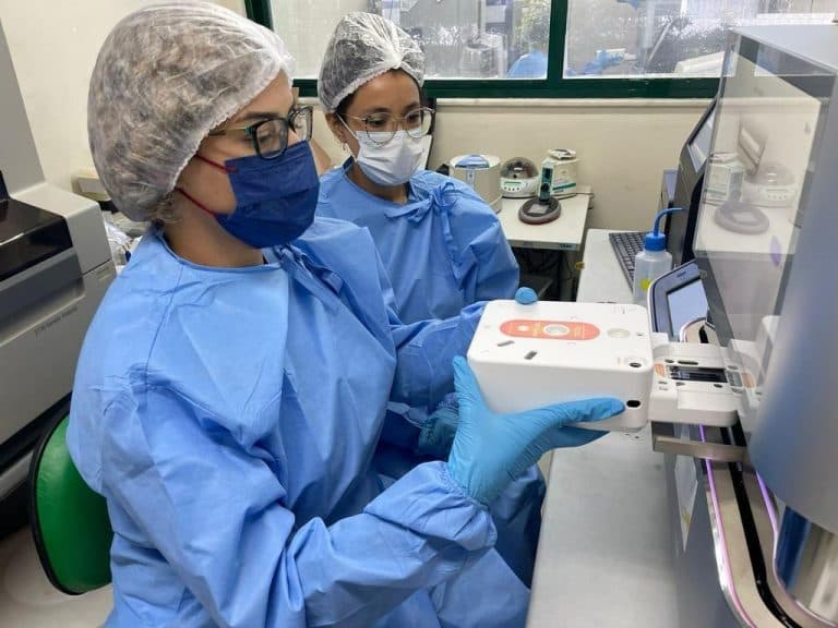 Estudo aponta que surto de Oropouche na Amazônica Ocidental foi causado pelo inseto maruim