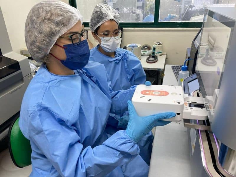 Estudo aponta que surto de Oropouche na Amazônica Ocidental foi causado pelo inseto maruim