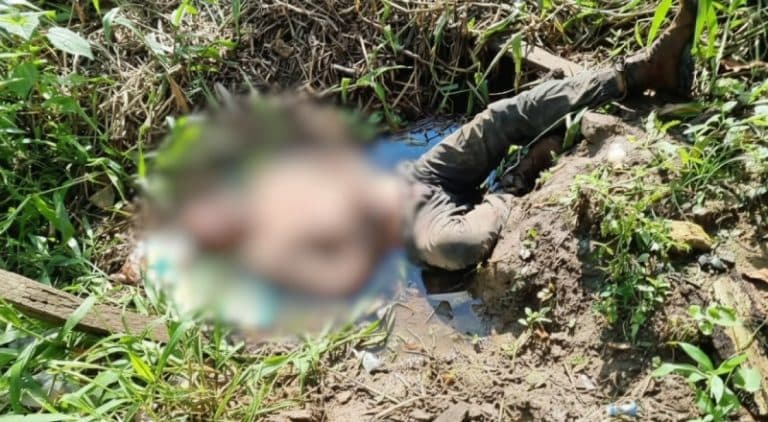 Corpo de homem é encontrado em mata em Manacapuru