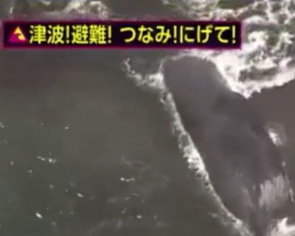 Japão entra em alerta para possível megaterremoto nesta terça-feira