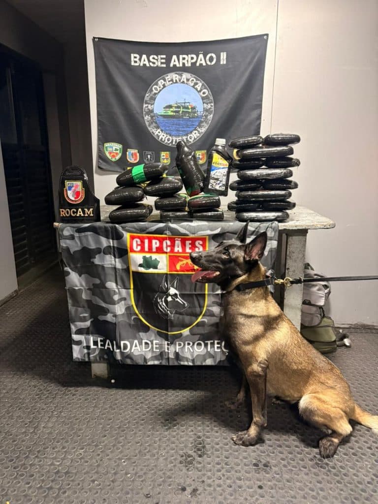 Polícia apreende óleo de maconha e mais de 35 quilos de drogas em barco