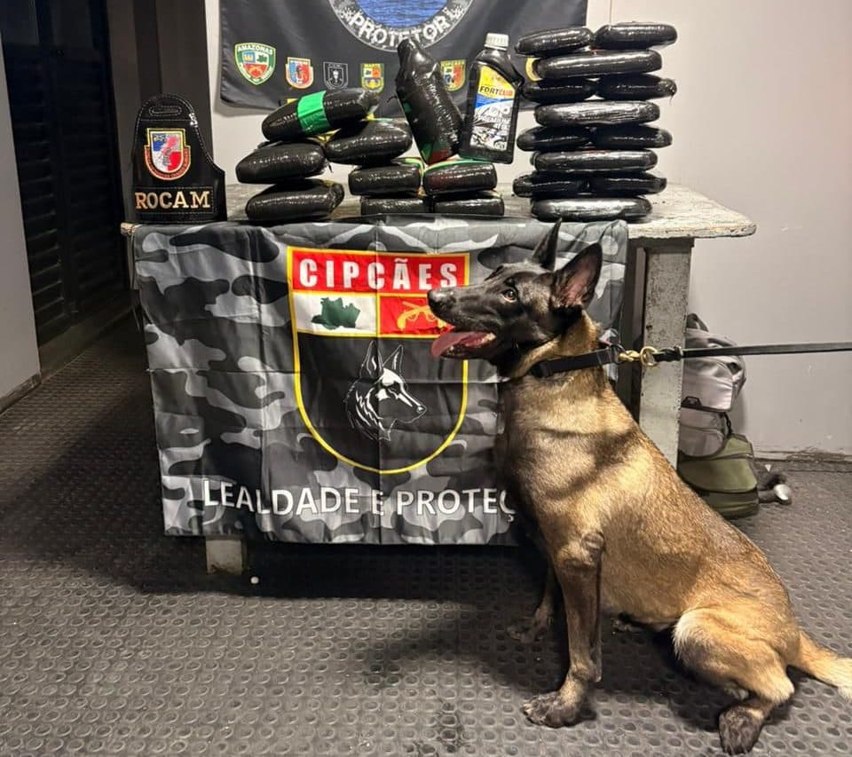 Polícia apreende óleo de maconha e mais de 35 quilos de drogas em barco