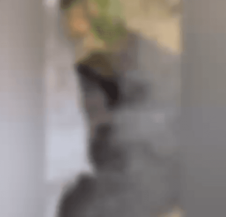 Vídeo mostra corpo de homem decapitado e com olhos arrancados