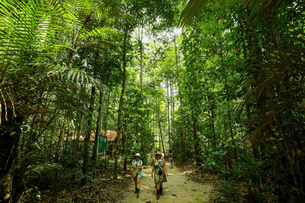 Amazônia lidera ranking de destinos de ecoturismo para 2026