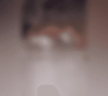 Homem é filmado abusando sexualmente de cadela no Maranhão