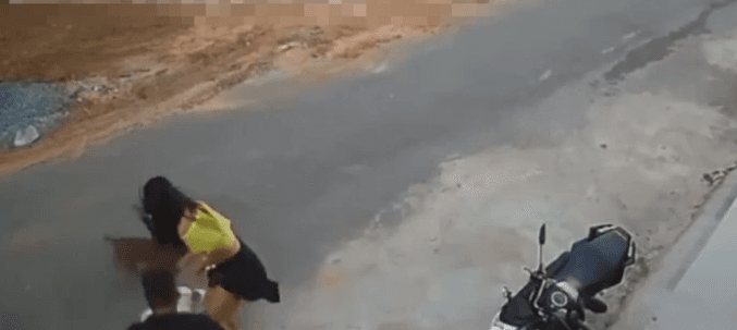 Pitbull escapa de casa e avança contra cães em Ubajara