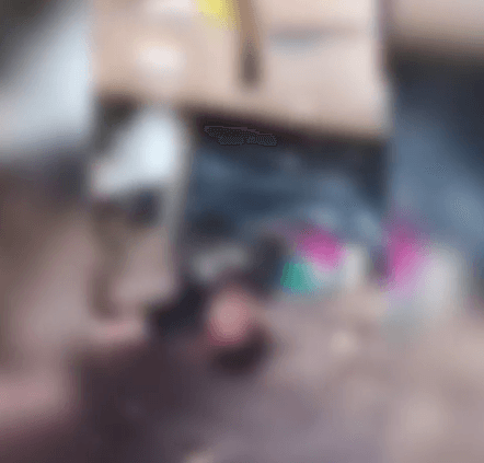 Violência doméstica termina com homem morto pelo cunhado em Itaituba