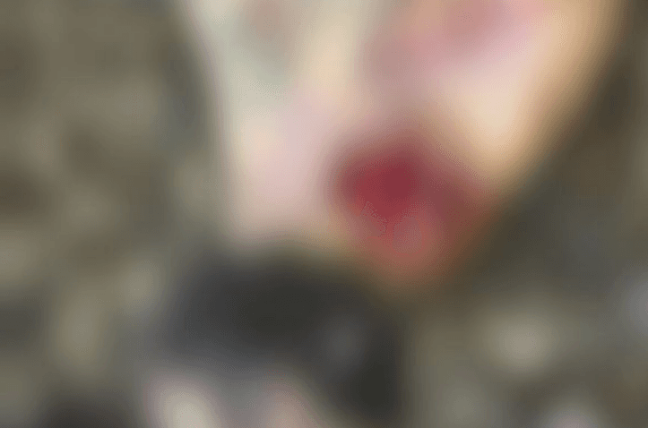 Corpo decapitado é achado em mata de Envira; crime pode ter ligação com facção