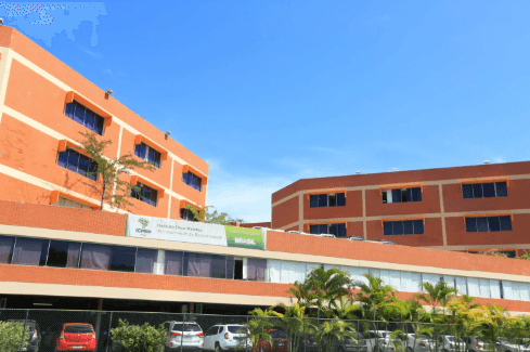 ICMBio regulamenta operações de resgate de baleias e prevê punições em caso de falhas