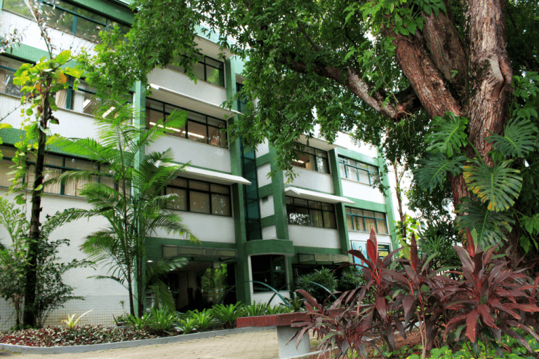 Fiocruz abre inscrições para curso gratuito para profissionais de saúde do Amazonas