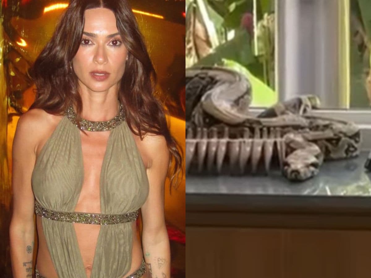 Thaila Ayala aciona bombeiros após encontrar jiboia na sala de jantar da sua casa