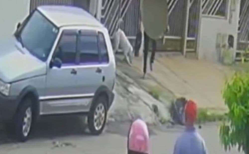 Vídeo mostra ataque de pitbull a criança de 2 anos