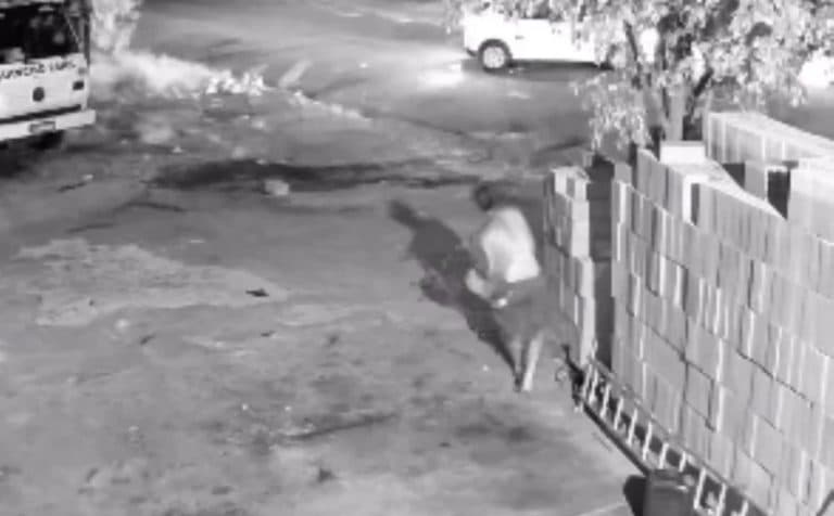 Homem é morto a tiros ao tentar impedir assalto a empresa em SP