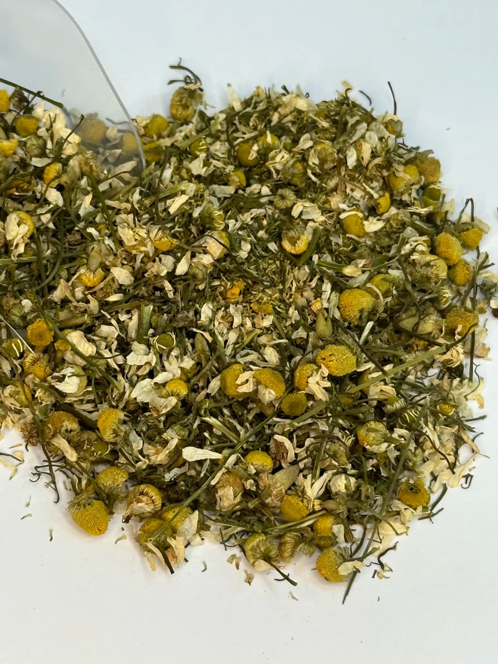 Larvas em chá de camomila levam Anvisa a suspender venda do produto