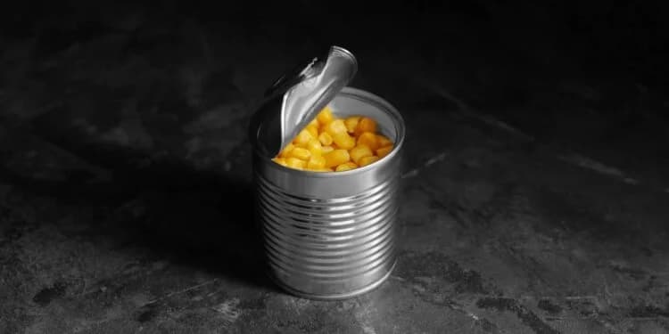 Estudo francês associa alguns conservantes alimentares a aumento do risco de câncer