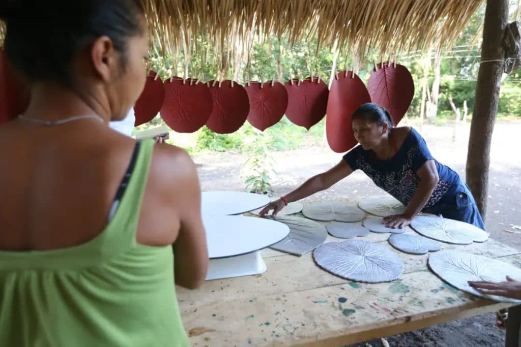 Governo abre chamada para regularizar terras e fortalecer agricultura familiar na Amazônia