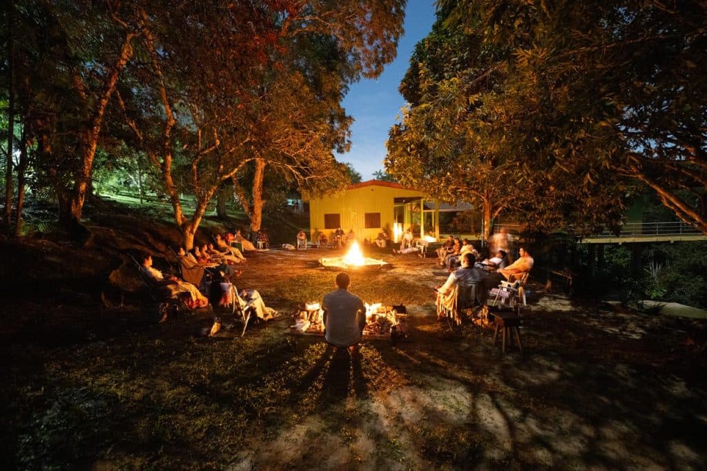 Ayahuasca no Amazonas: o que está por trás do ritual que atrai o mundo