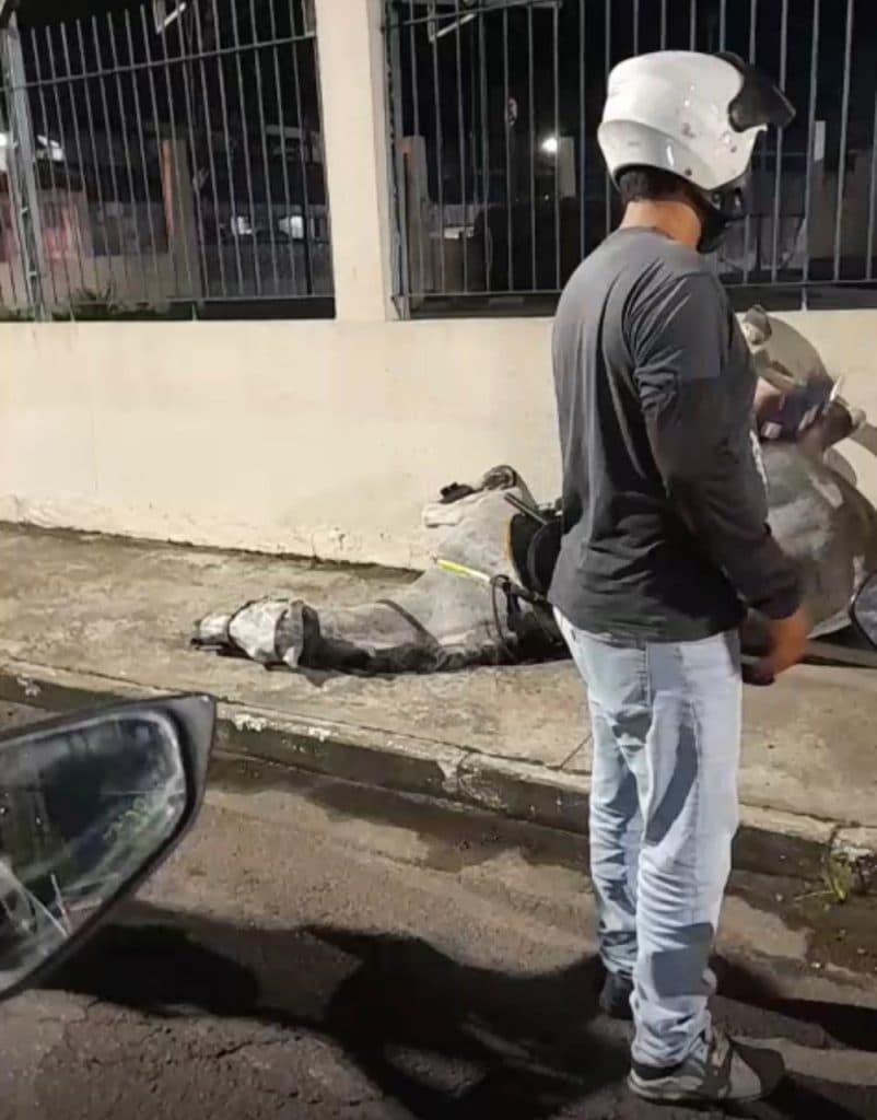 Cavalo da PM bate em poste após se assustar durante patrulhamento no Carnaboi