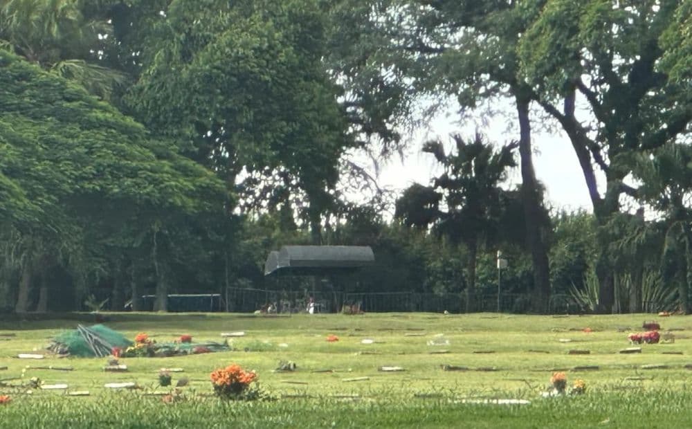 Corpos dos Mamonas Assassinas são exumados em São Paulo