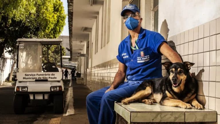 Governo de SP autoriza que cães e gatos passem a ser enterrados em jazigos familiares