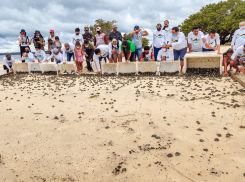 Projeto ambiental leva à soltura de mais de 5 mil tartarugas e tracajás na Amazônia
