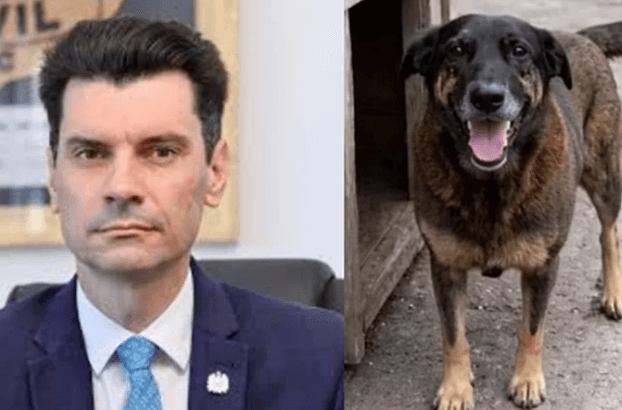 Justiça suspende investigação criminal contra ex-delegado no caso Orelha