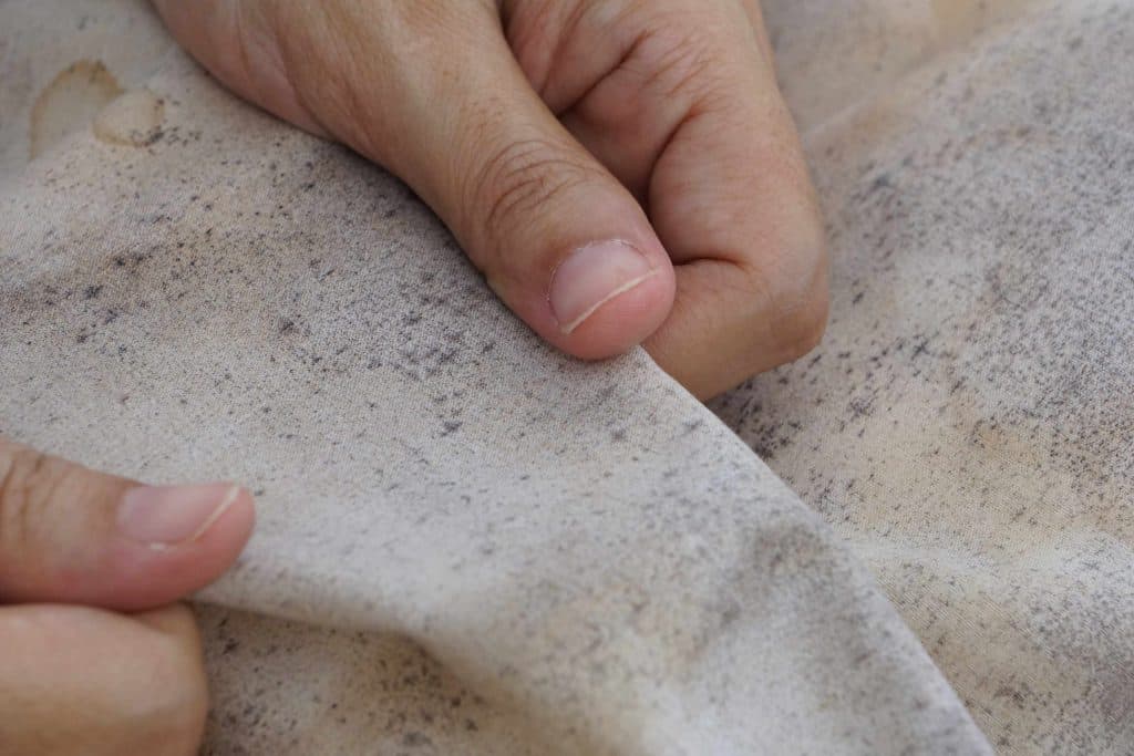 Mistura com dois ingredientes comuns acaba com cheiro de mofo no guarda-roupa