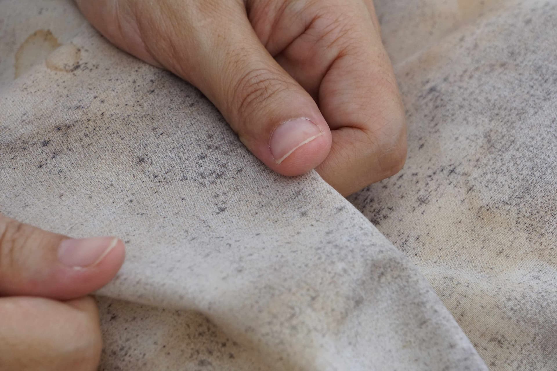 Mistura com dois ingredientes comuns acaba com cheiro de mofo no guarda-roupa