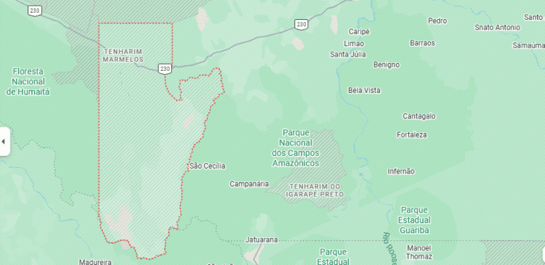 Equipe de fiscalização do Ibama é atacada em Terra Indígena no Sul do Amazonas