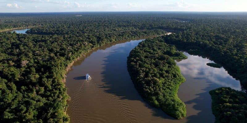 Amazonas reduz desmatamento em 14,6% em 2025, aponta relatório