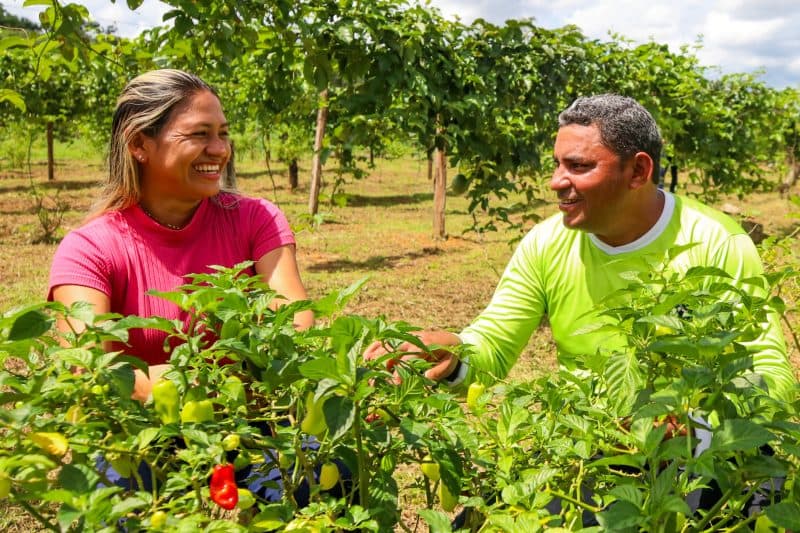 Aadesam lança PSS para níveis fundamental, médio e superior no Amazonas; veja como participar
