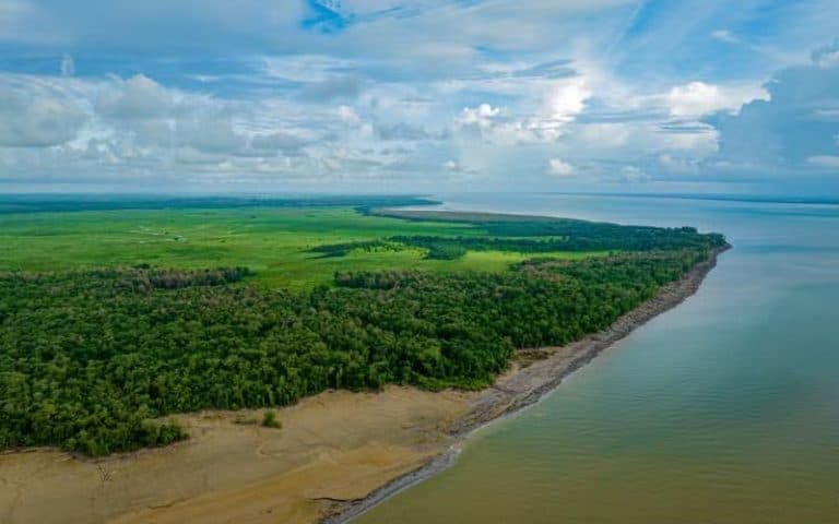 Greenpeace critica defesa de Lula à exploração de petróleo na Foz do Amazonas