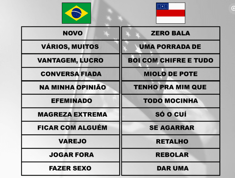 PL do Amazonês: patrimônio cultural sem garantias reais?