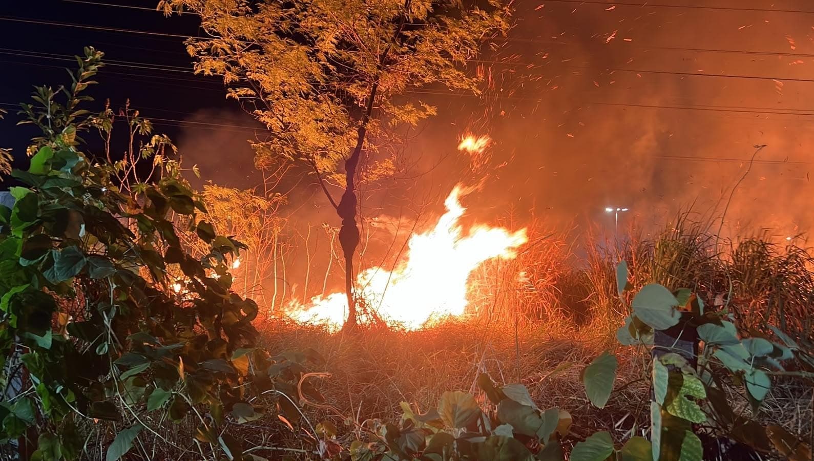 Incêndio atinge área de mata na Avenida das Torres