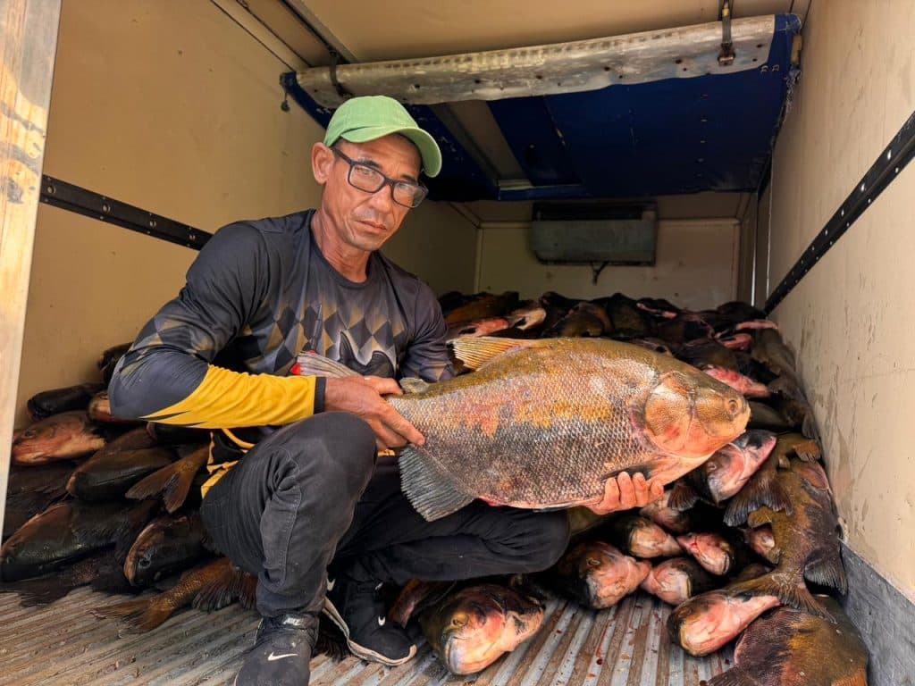 Feira do Tambaqui terá mais de 8 toneladas de pescado neste sábado (29)