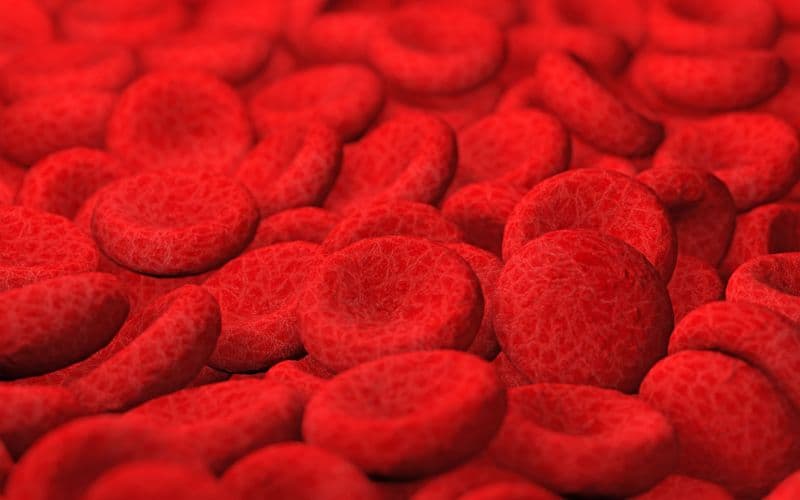 Brasil é o primeiro país a aprovar novo tratamento para anemia rara