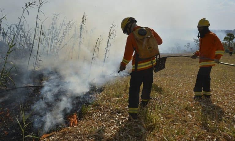 Aleam aprova reconhecimento de brigadista voluntário em meio a alta de incêndios no AM