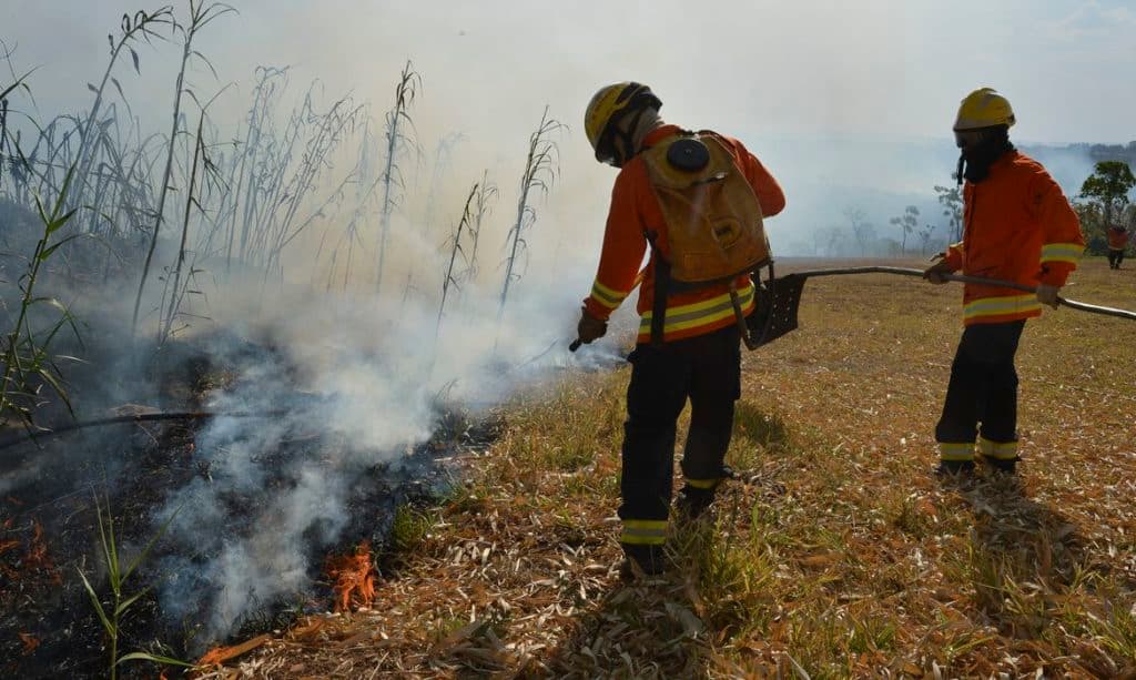 Aleam aprova reconhecimento de brigadista voluntário em meio a alta de incêndios no AM