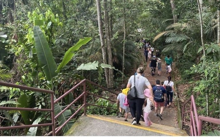 UFAM e INPA oferecem oficinas gratuitas para formar ‘ecoinfluenciadores’ em Manaus