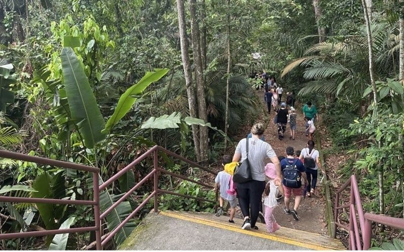 UFAM e INPA oferecem oficinas gratuitas para formar ‘ecoinfluenciadores’ em Manaus