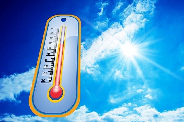Falta de árvores e planejamento podem aumentar o calor nas ruas de Manaus, diz especialista